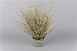 Gras dekorativ, in Zinkeimer 51cm, grün Gras dekorativ, in Zinkeimer 51cm, grün