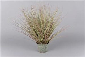 Gras dekorativ, in Zinkeimer 51cm, grün