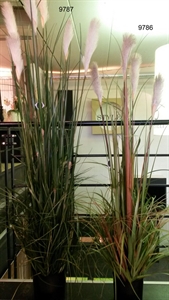 Reed-plume, decorativ 183cm, grün