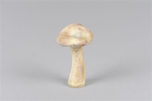 Pilz, Fungi Ø6x H12.5, zement Pilz, Fungi Ø6x H12.5, zement
