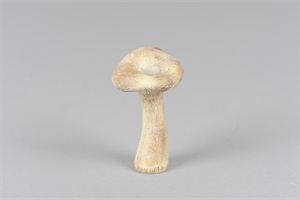 Pilz, Fungi Ø6x H12.5, zement