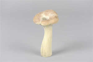 Pilz, Fungi Ø8.5x H19, zement