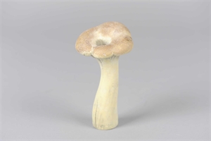Pilz, Fungi Ø8.5x H19, zement* Pilz, Fungi Ø8.5x H19, zement*