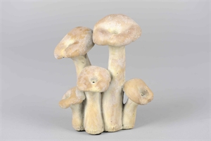 Pilz, Fungi L16x 10x H19, zement