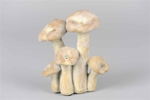 Pilz, Fungi L16x 10x H19, zement* Pilz, Fungi L16x 10x H19, zement*