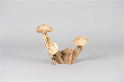 Pilz, Holz L28x 18x H28cm, natur