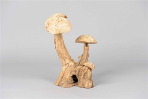 Pilz, Holz L30x 18x H35cm, natur
