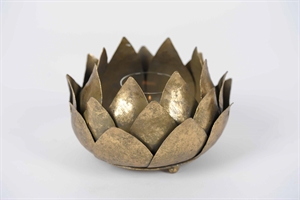 Pflanze, Teelichthalter - Ø24x H13cm, bronce