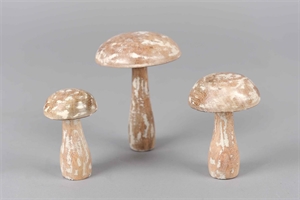Pilze, Holz - Amanita 10x H14cm, hellbraun Pilze, Holz - Amanita 10x H14cm, hellbraun