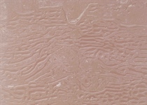 Colour 62 altrosé