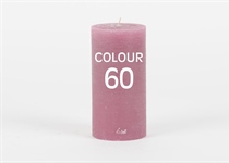 Colour 60 orchidee