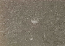 Rustic 54 taupe