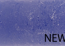Colour 44 cobalt - neu