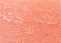 69 Sepia Rose