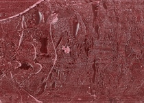 Colour 26 chateauneuf