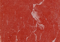 Colour 65 coral*