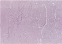 Colour 70 wisteria