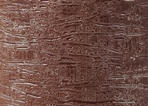 Colour 58 moca*