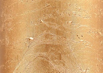 Col. 08 gold