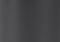 Colour 14 beluga